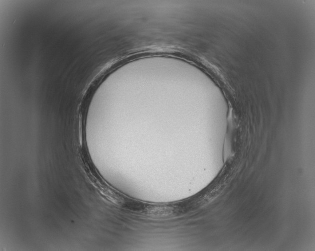 X0000075361171200610061739