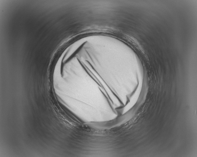 X0000075361172200610061739