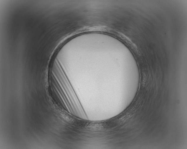 X0000075361174200610061739