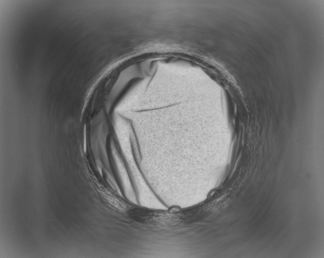 X0000075361175200610061739