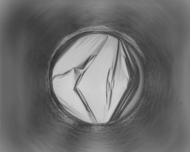 X0000075361176200610061739