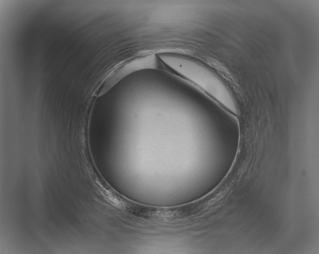 X0000075361177200610061739