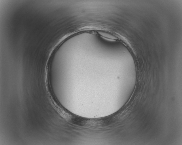 X0000075361179200610061739