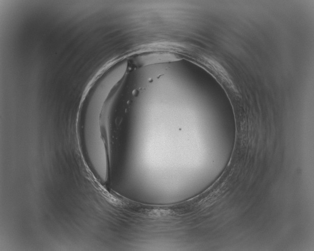 X0000075361180200610061739