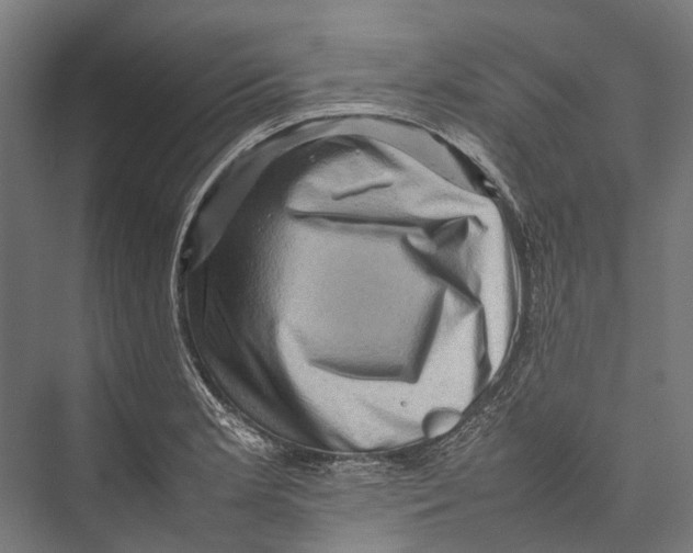 X0000075361181200610061739