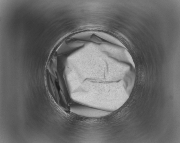 X0000075361182200610061739