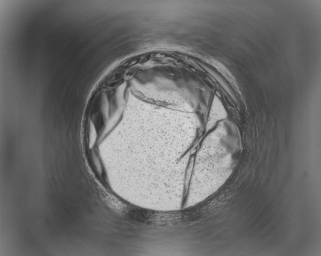 X0000075361183200610061739