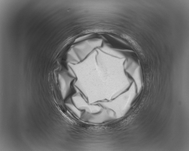 X0000075361185200610061739