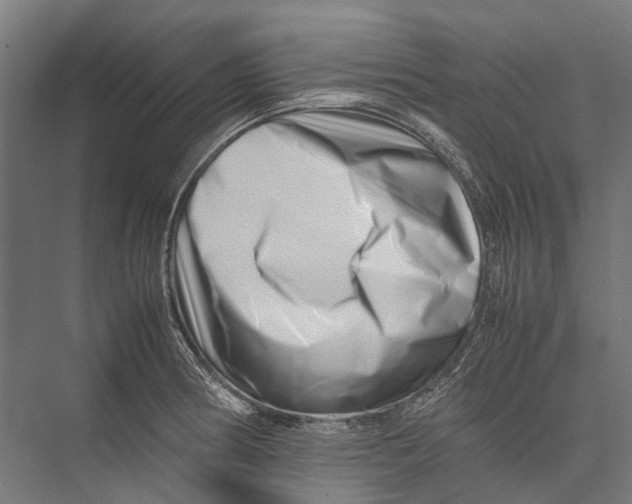 X0000075361186200610061739