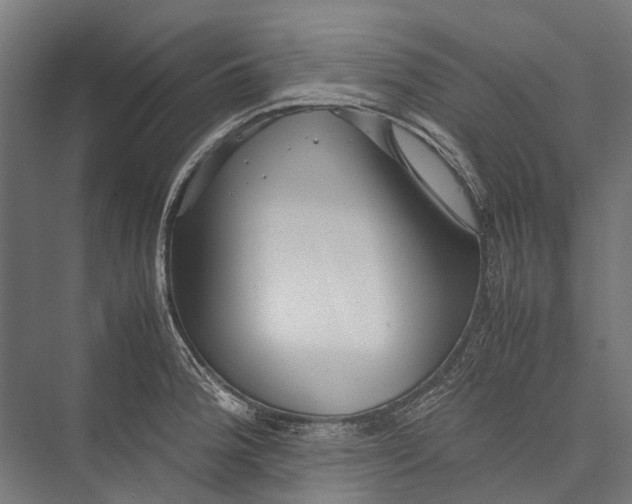 X0000075361188200610061739