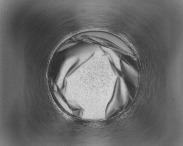 X0000075361189200610061739