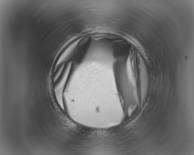 X0000075361190200610061739