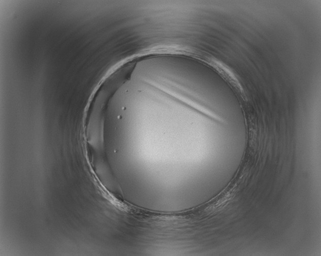 X0000075361192200610061739