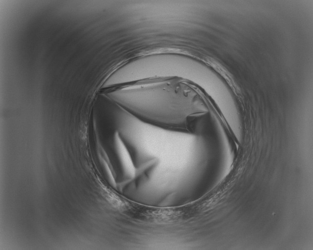 X0000075361193200610061739