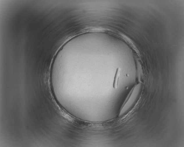 X0000075361194200610061739