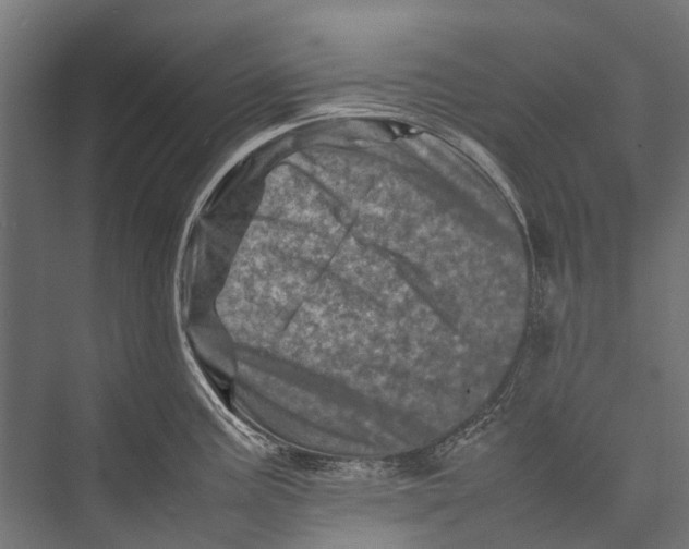 X0000075361195200610061739