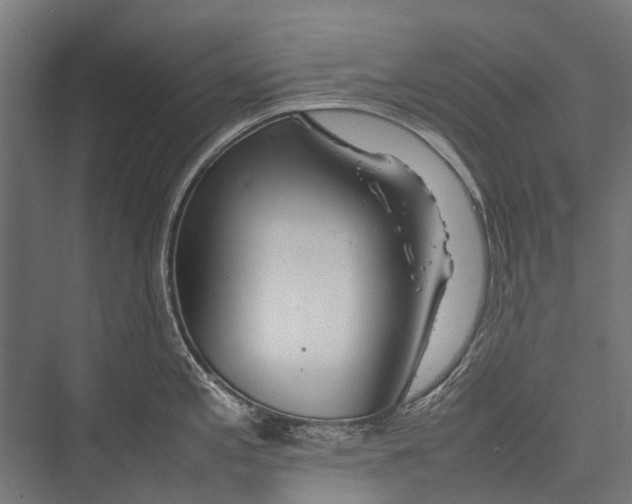 X0000075361197200610061739