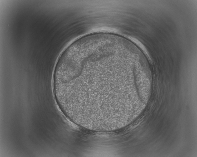 X0000075361199200610061739