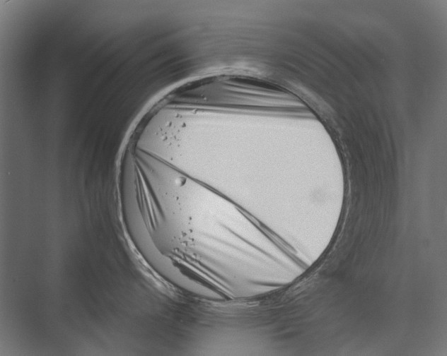 X0000075361200200610061738