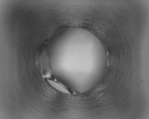 X0000075361202200610061738