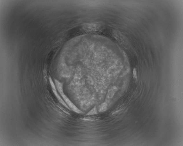 X0000075361203200610061738