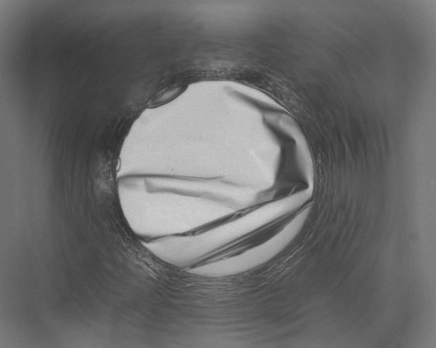 X0000075361204200610061738