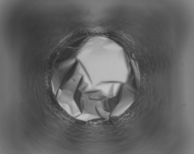 X0000075361205200610061738