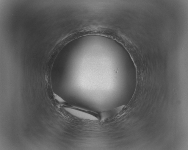 X0000075361206200610061738