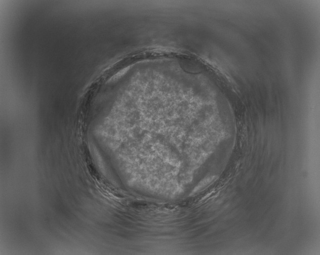 X0000075361207200610061738