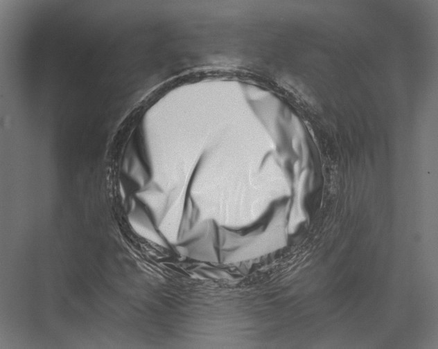 X0000075361208200610061738