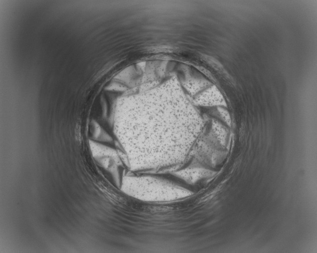 X0000075361209200610061738