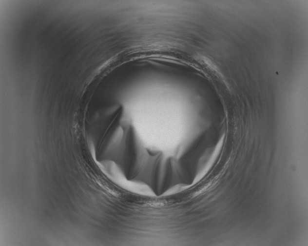 X0000075361210200610061738