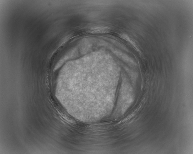 X0000075361211200610061738