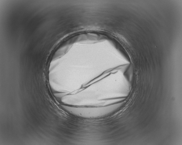 X0000075361212200610061738