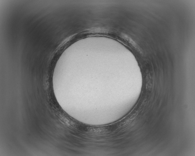 X0000075361213200610061738