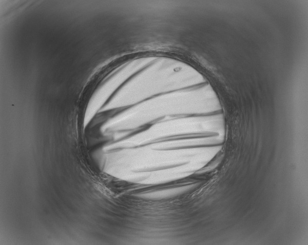 X0000075361214200610061738