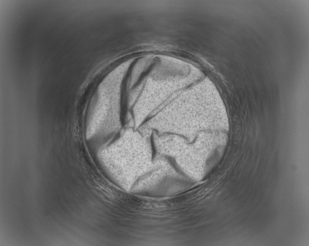 X0000075361215200610061738