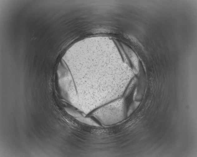 X0000075361217200610061738