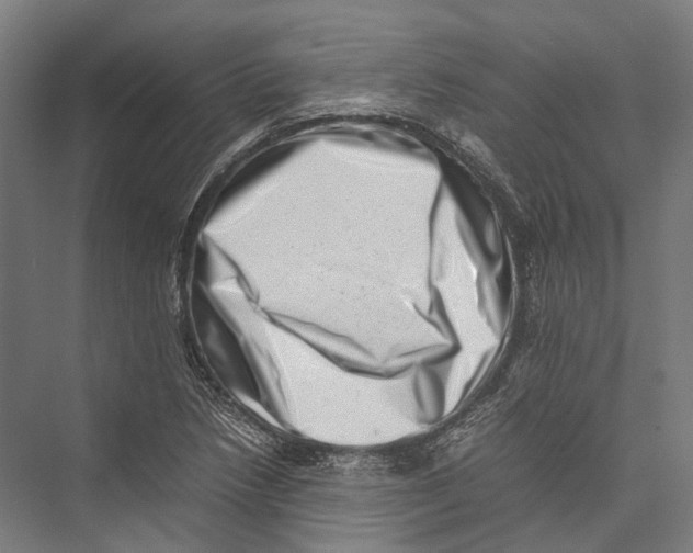 X0000075361218200610061738