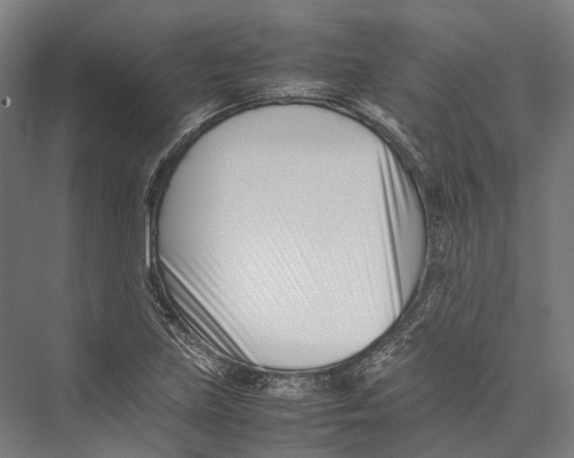 X0000075361219200610061738