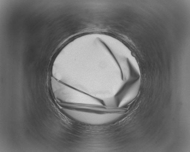 X0000075361220200610061738