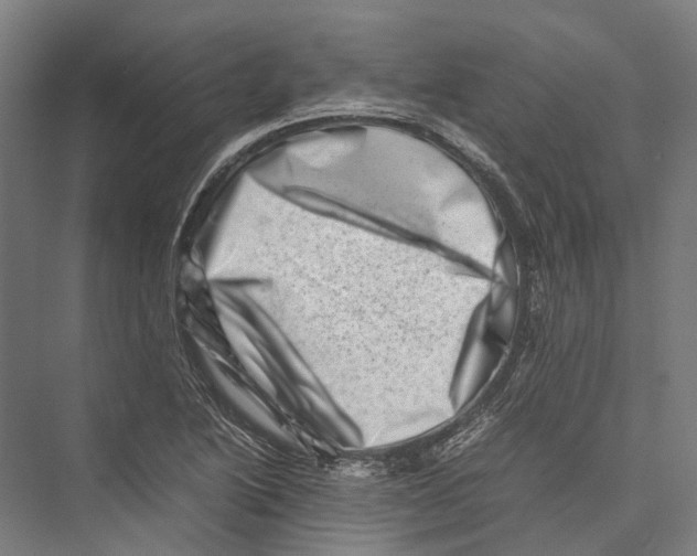 X0000075361222200610061738