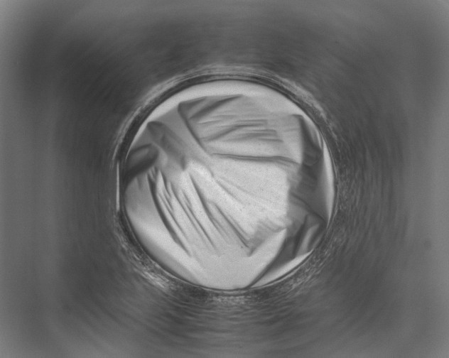 X0000075361223200610061738