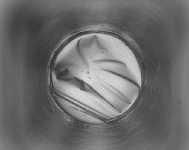 X0000075361224200610061738