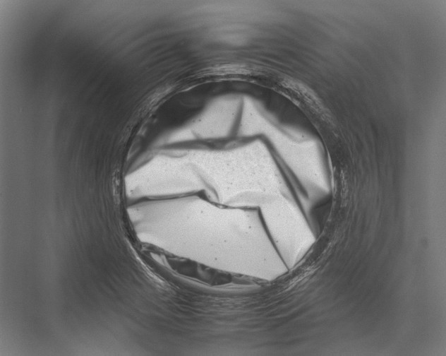 X0000075361225200610061738