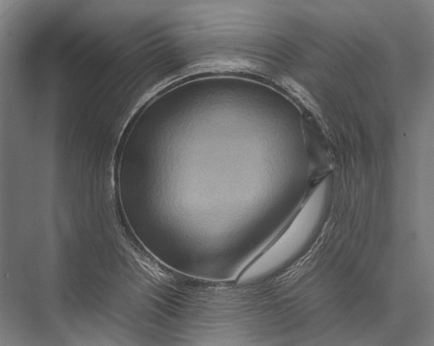 X0000075361226200610061738