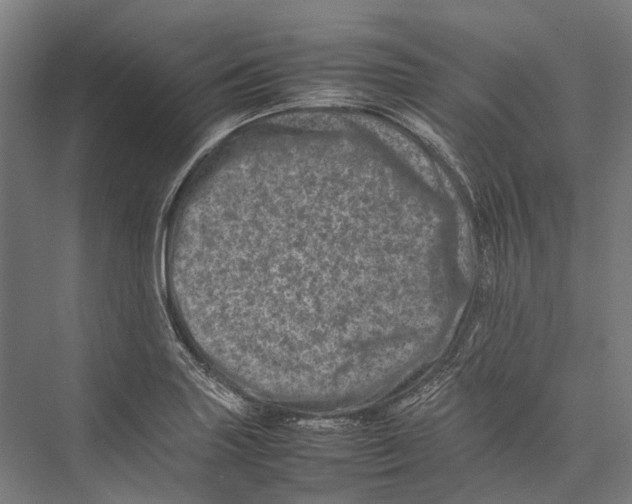 X0000075361227200610061738