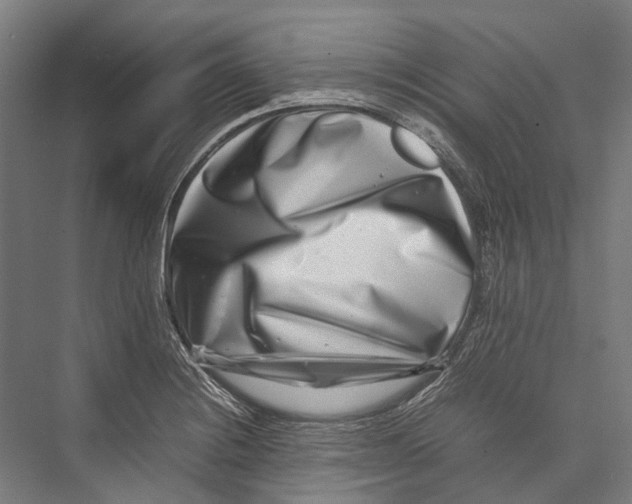 X0000075361228200610061738