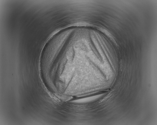 X0000075361229200610061738