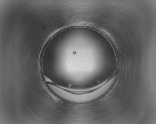 X0000075361230200610061738